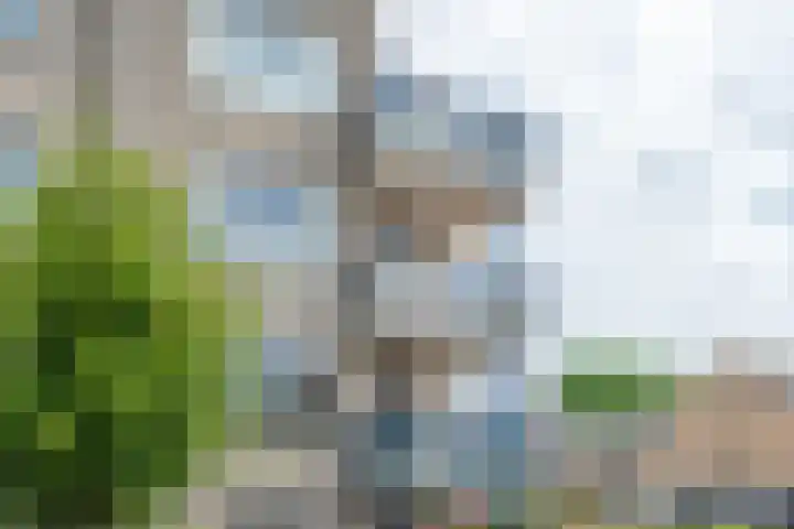 Boekweitakker 26 Barneveld thumbnail 37