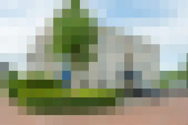 Boekweitakker 26 Barneveld thumbnail 39