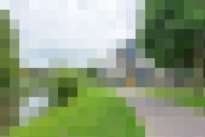 Boekweitakker 26 Barneveld thumbnail 41