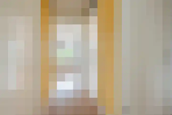Boekweitakker 26 Barneveld thumbnail 7