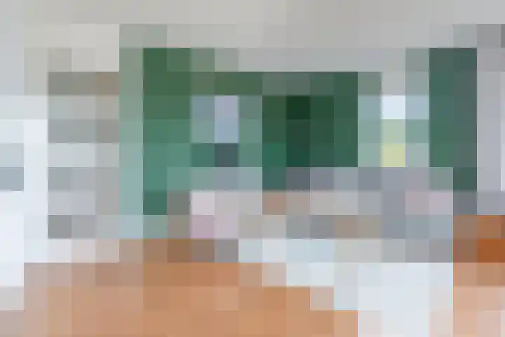 Boekweitakker 26 Barneveld thumbnail 8