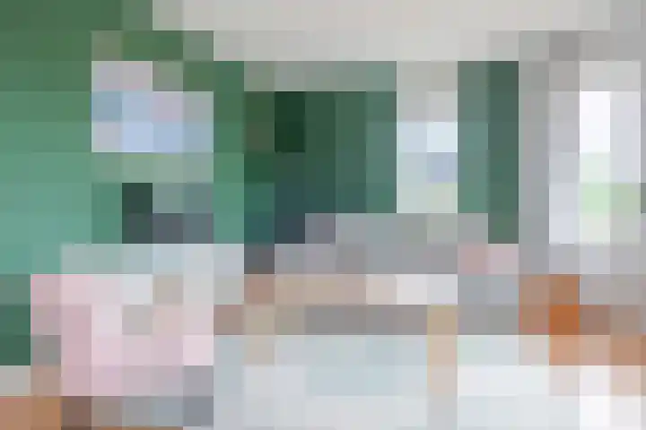 Boekweitakker 26 Barneveld thumbnail 9