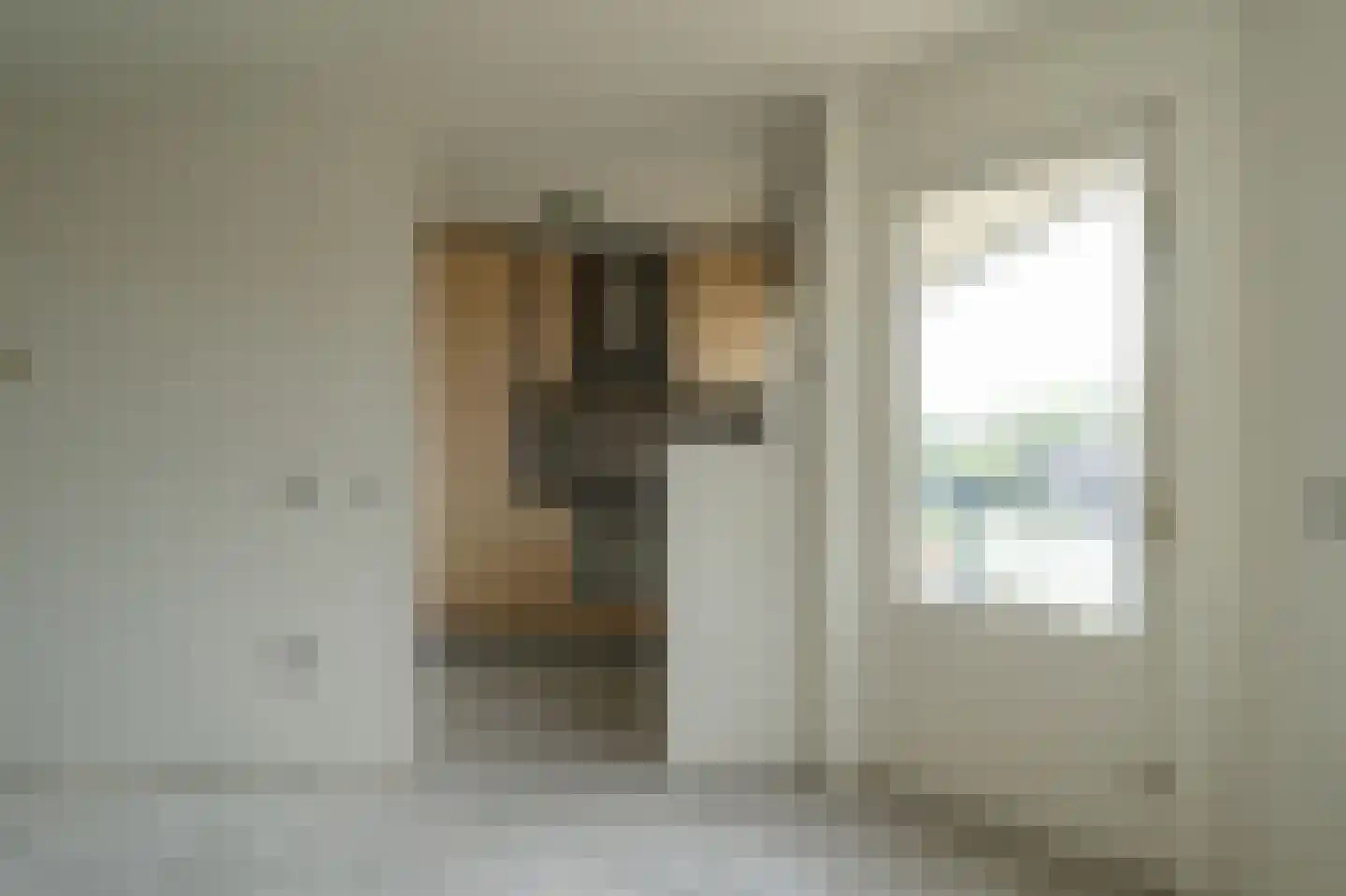 Boekweitakker 34 Barneveld thumbnail 17