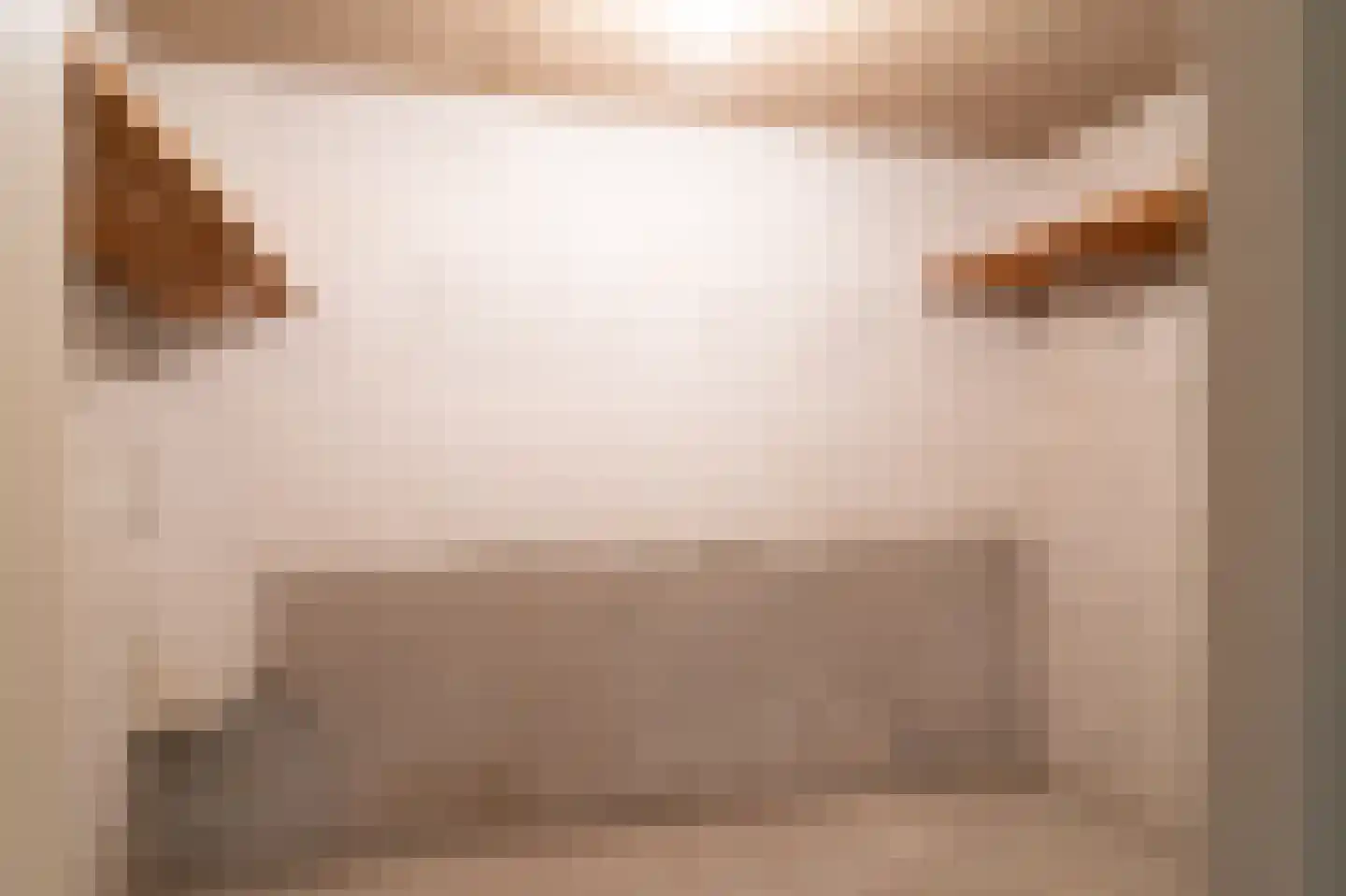 Boekweitakker 34 Barneveld thumbnail 32