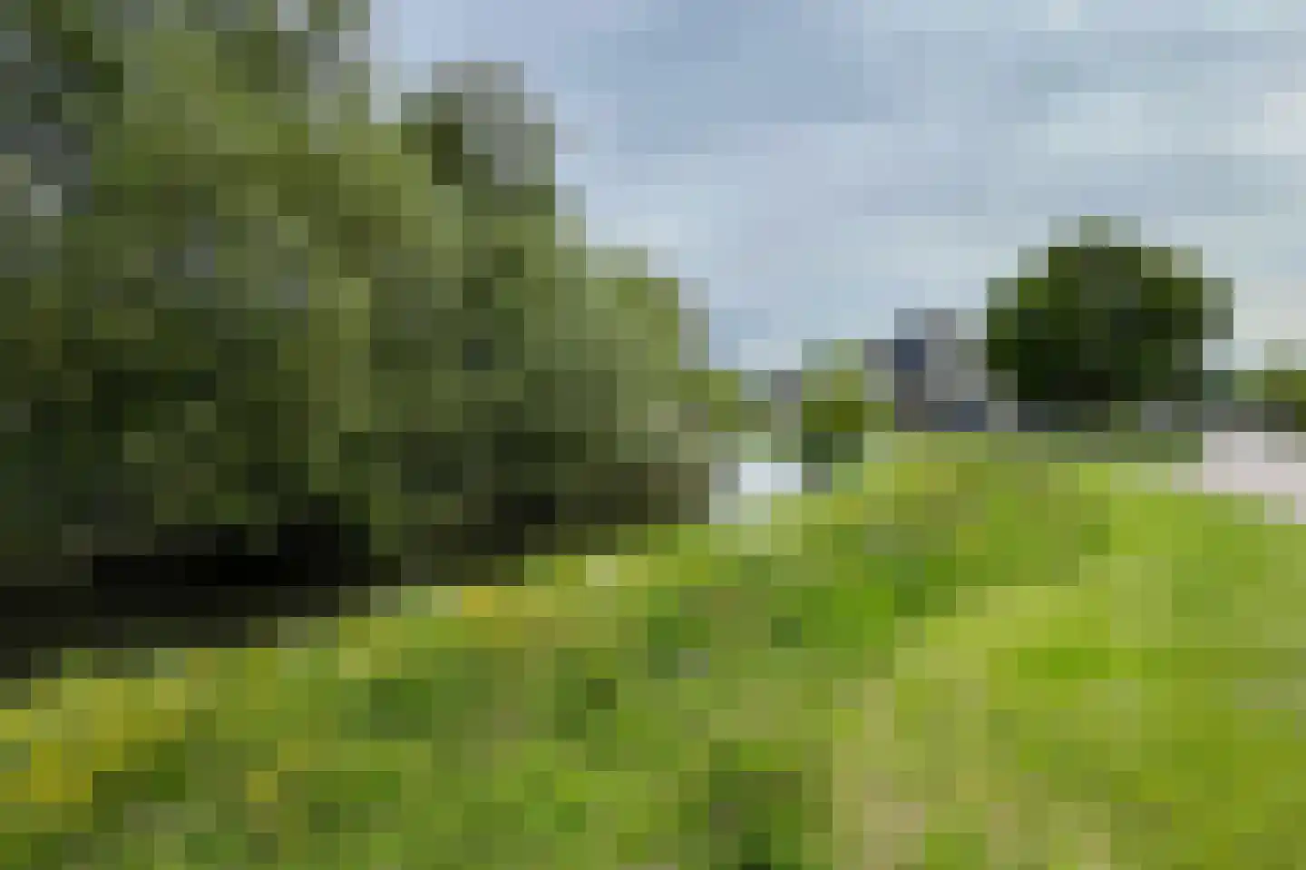 Boekweitakker 34 Barneveld thumbnail 38
