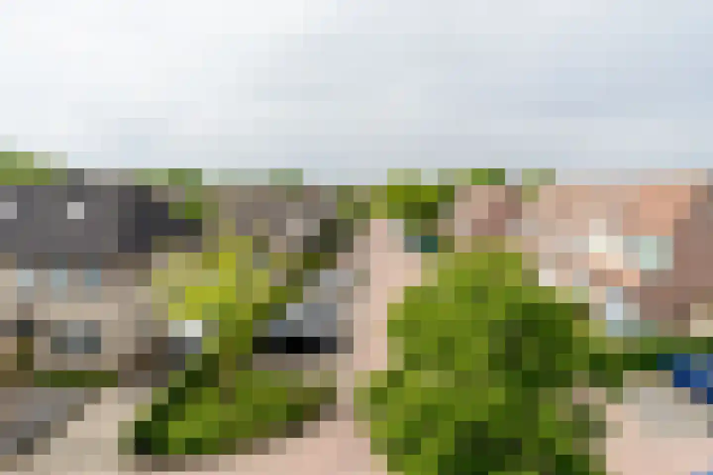 Boekweitakker 34 Barneveld thumbnail 4