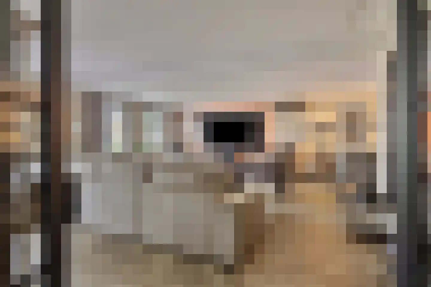 Boekweitbeemd 20 Valkenswaard thumbnail 12