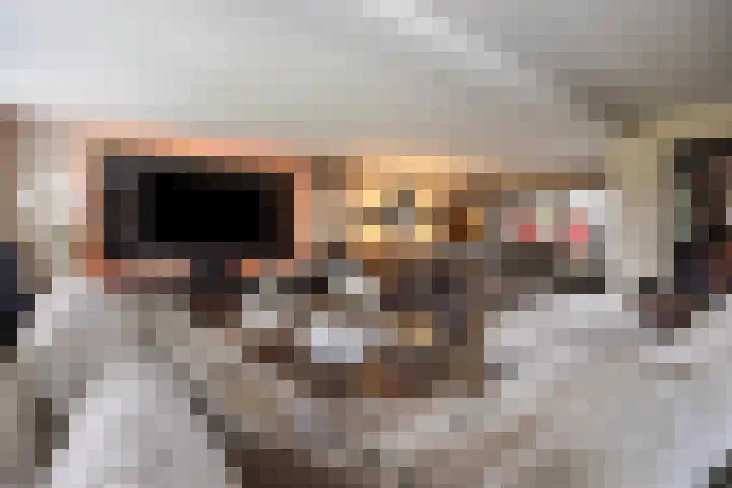 Boekweitbeemd 20 Valkenswaard thumbnail 14