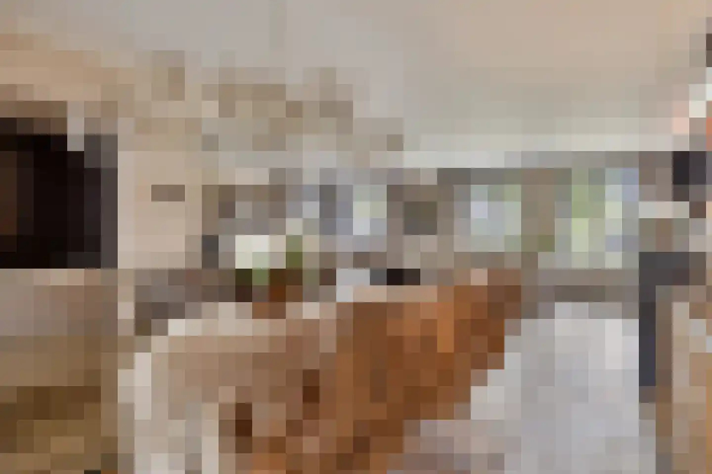 Boekweitbeemd 20 Valkenswaard thumbnail 18