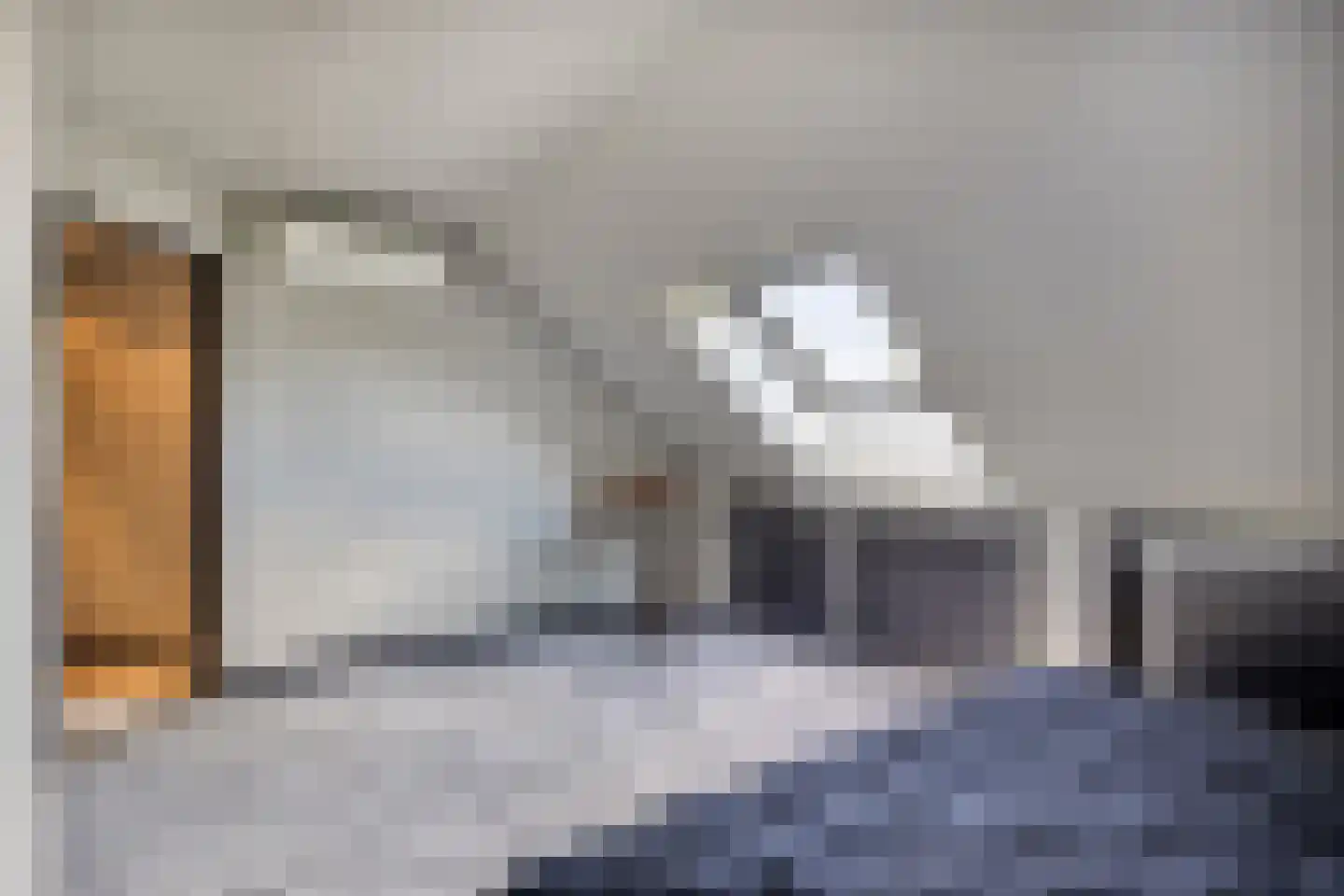 Boekweitbeemd 20 Valkenswaard thumbnail 33