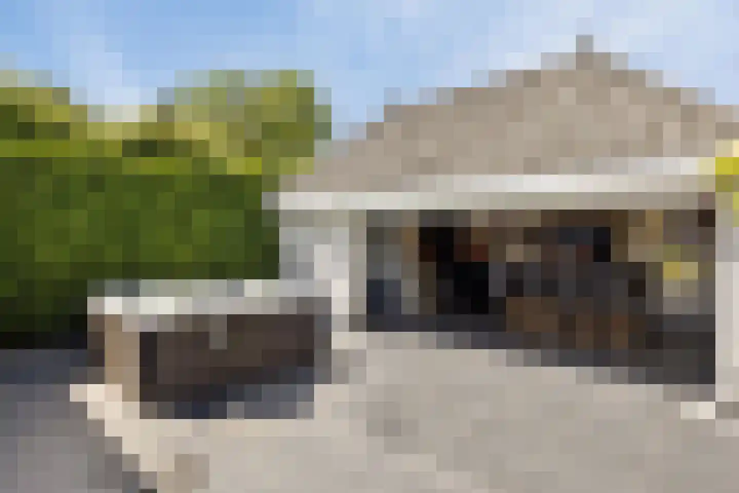 Boekweitbeemd 20 Valkenswaard thumbnail 42