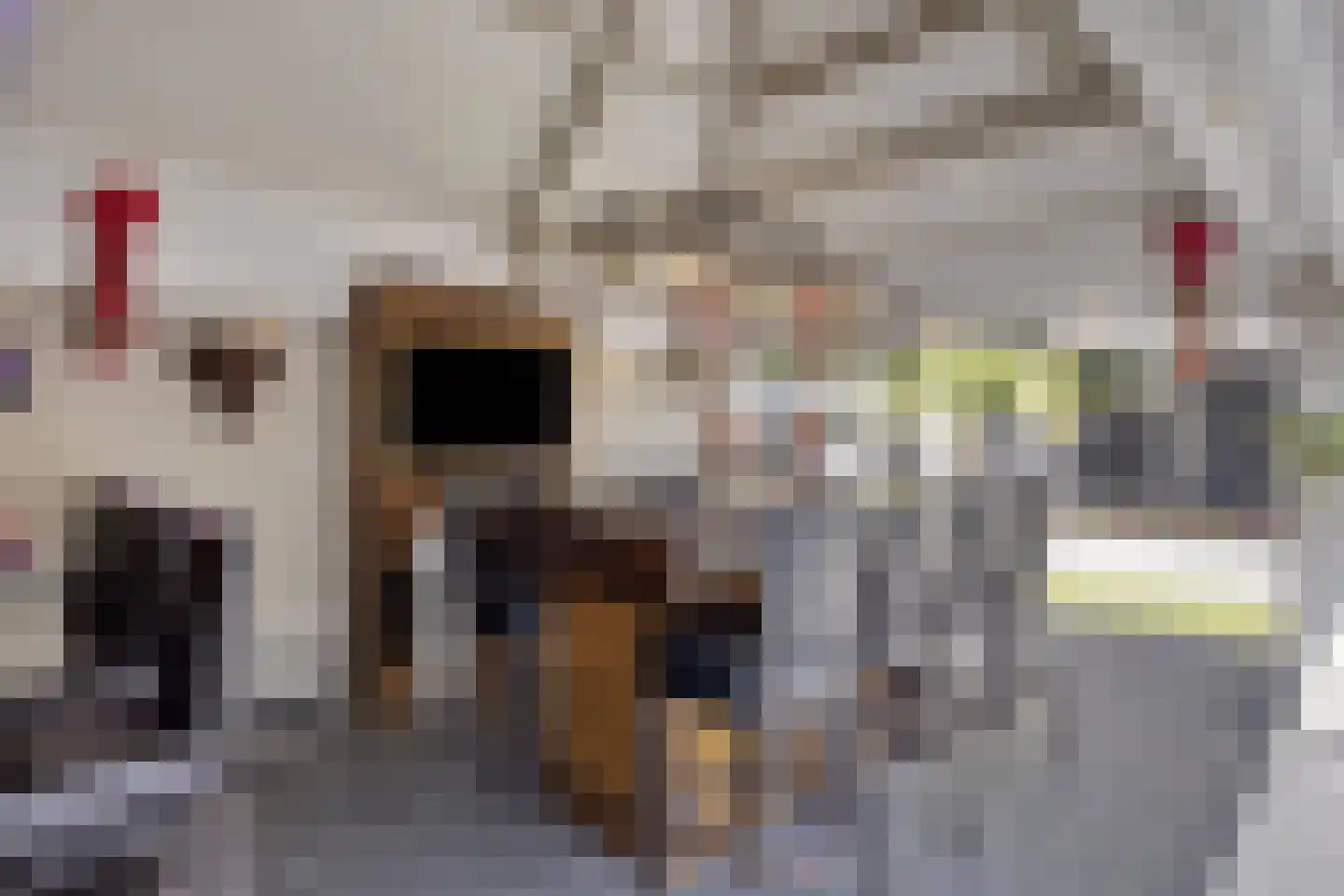Boekweitbeemd 20 Valkenswaard thumbnail 43