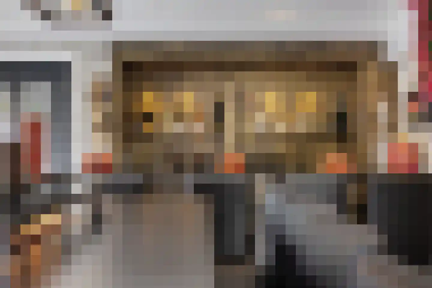 Boekweitbeemd 20 Valkenswaard thumbnail 46