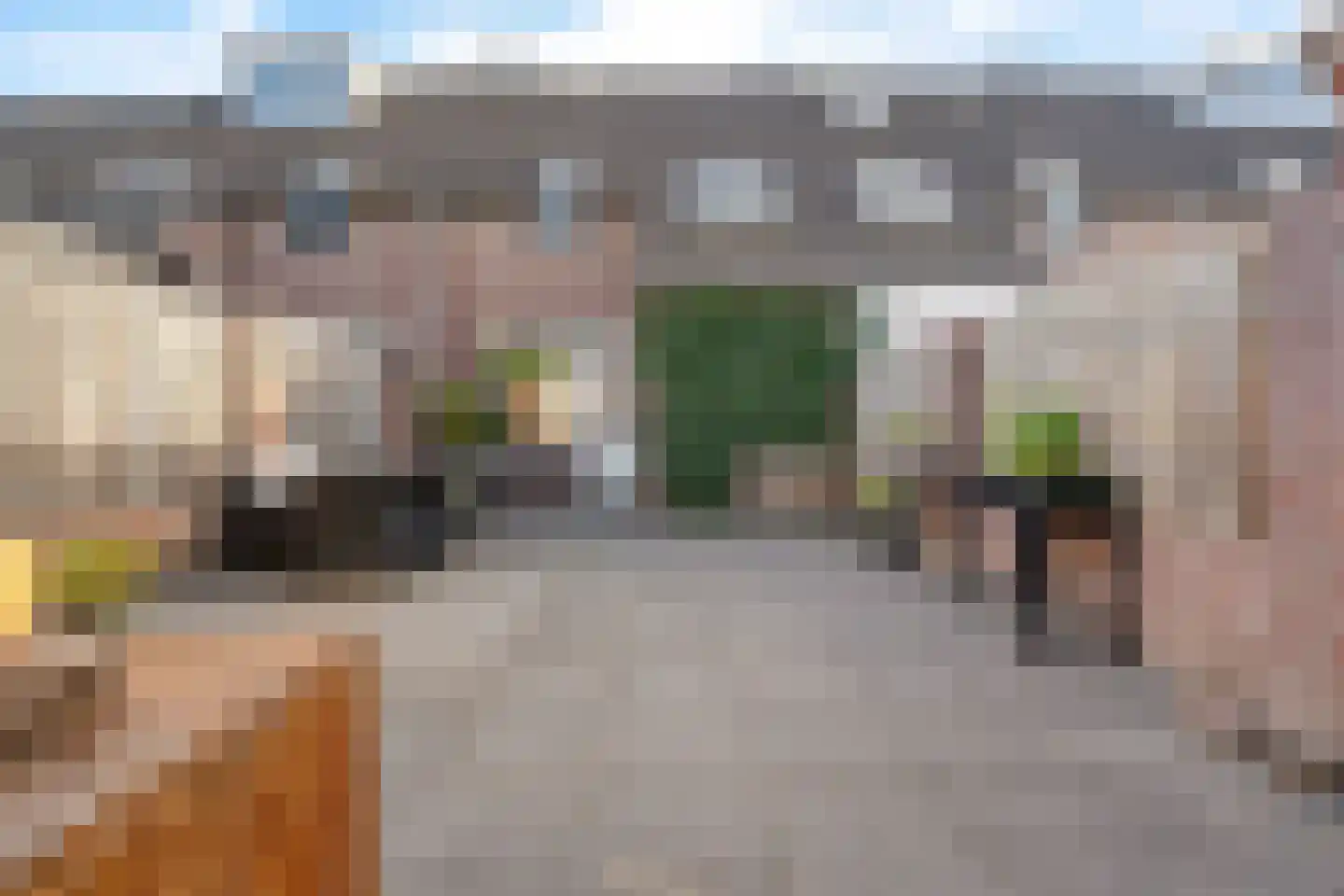 Boekweitbeemd 4 Valkenswaard thumbnail 30