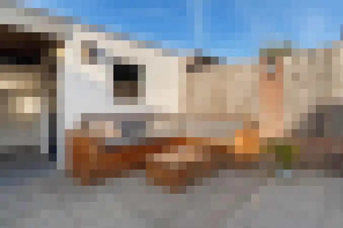 Boekweitbeemd 4 Valkenswaard thumbnail 33