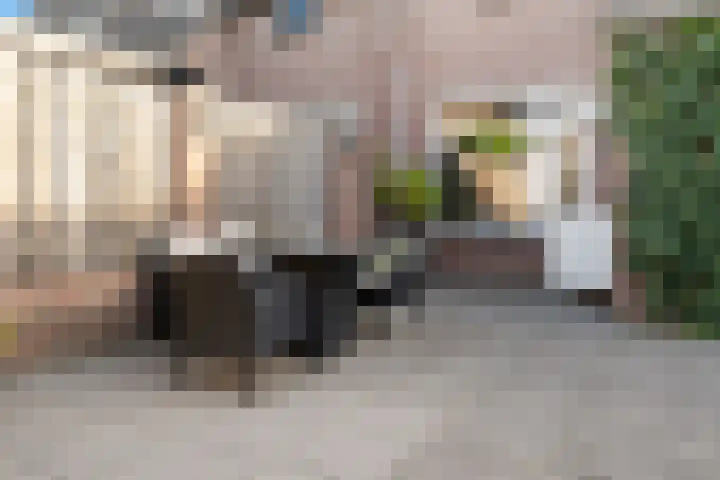 Boekweitbeemd 4 Valkenswaard thumbnail 34