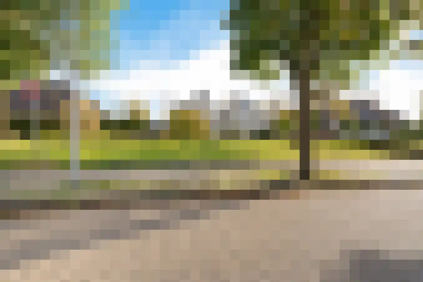 Boekweitbeemd 4 Valkenswaard thumbnail 36