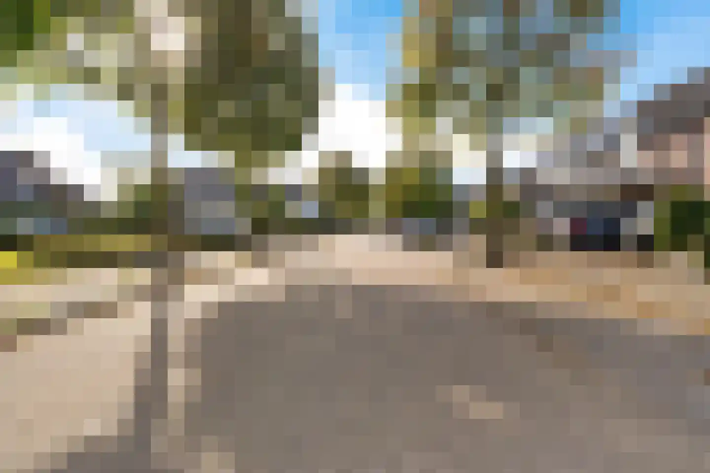 Boekweitbeemd 4 Valkenswaard thumbnail 37