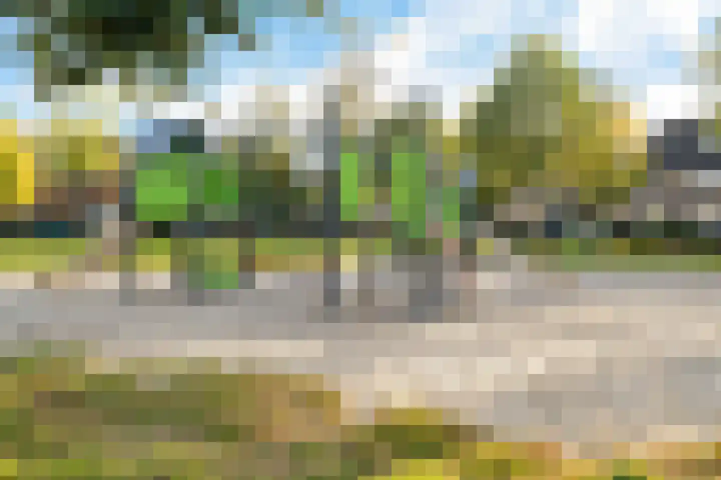 Boekweitbeemd 4 Valkenswaard thumbnail 41
