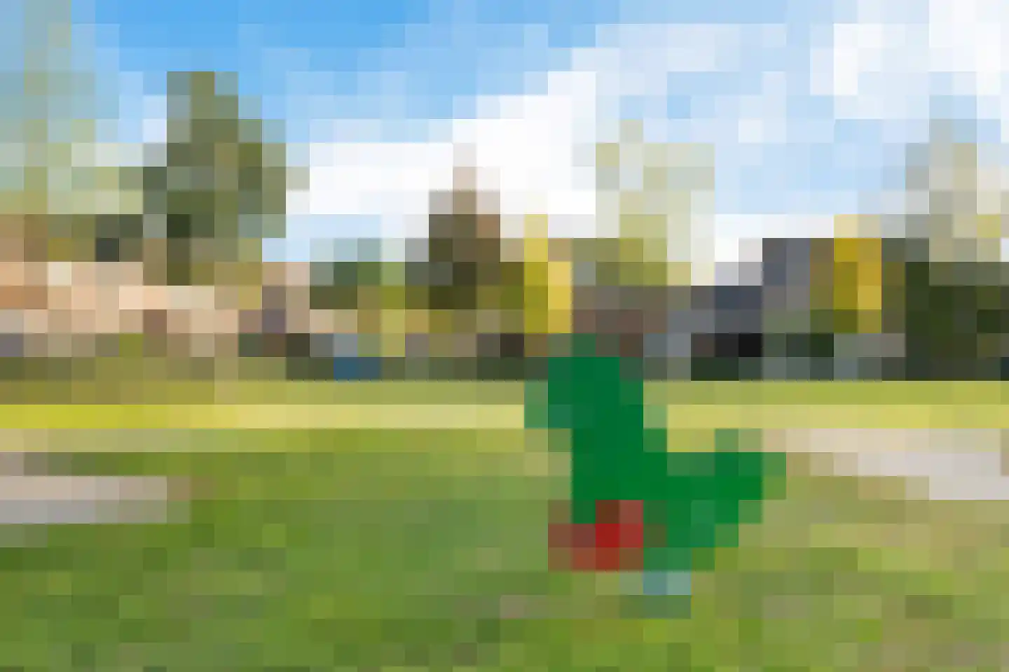 Boekweitbeemd 4 Valkenswaard thumbnail 42