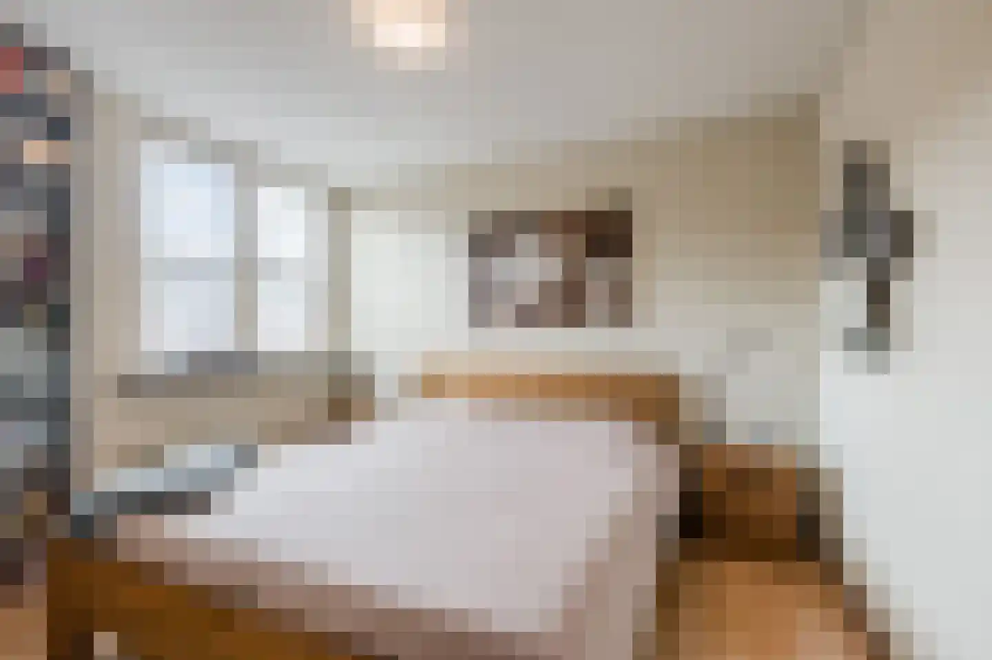 Boekweitdonk 12 Diemen thumbnail 17
