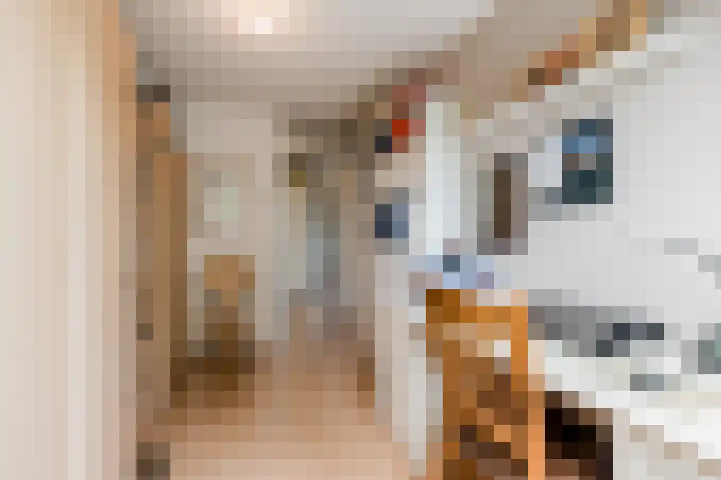 Boekweitdonk 12 Diemen thumbnail 22