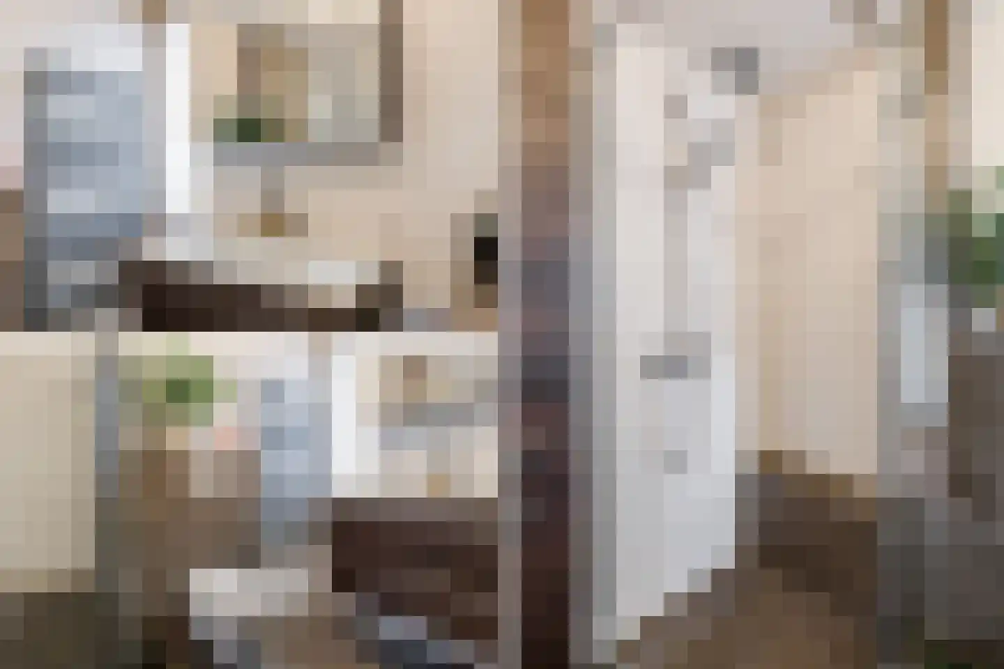Boekweitdonk 12 Diemen thumbnail 24