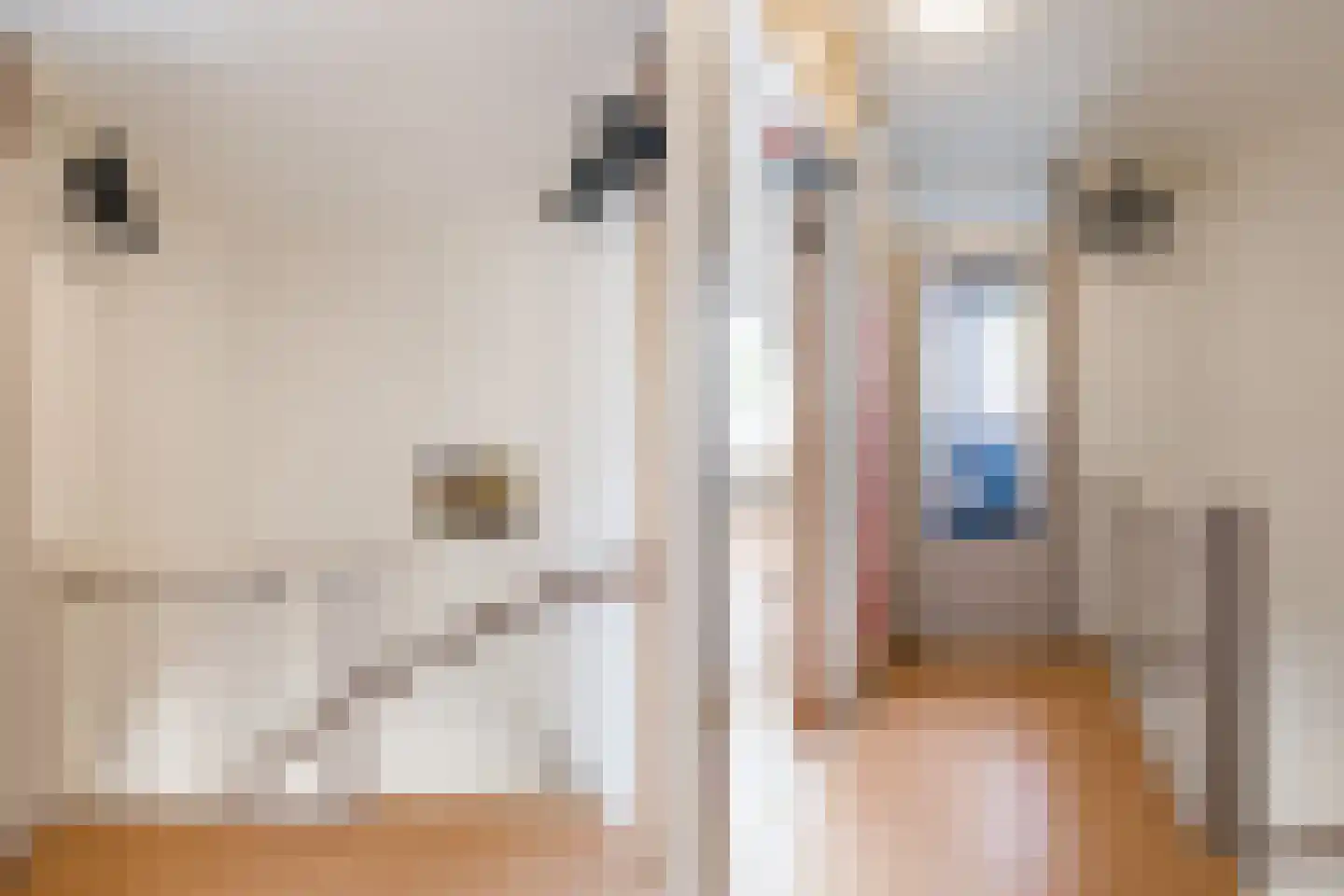 Boekweitdonk 12 Diemen thumbnail 30