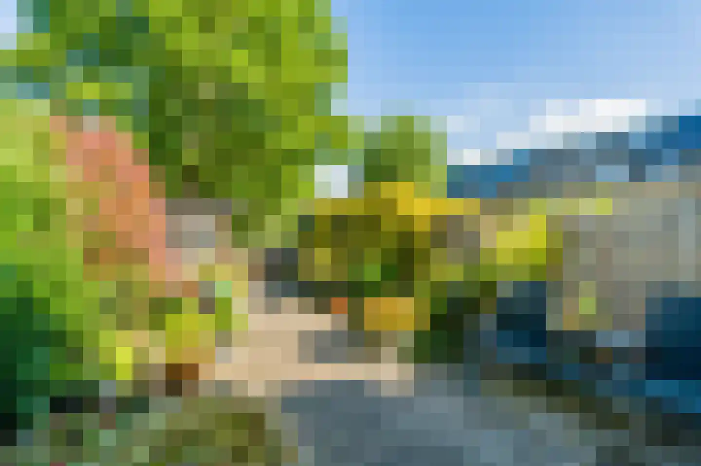 Boekweitdonk 12 Diemen thumbnail 35