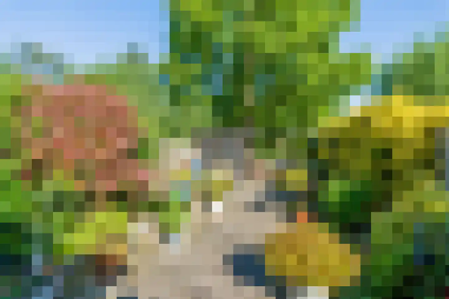 Boekweitdonk 12 Diemen thumbnail 36