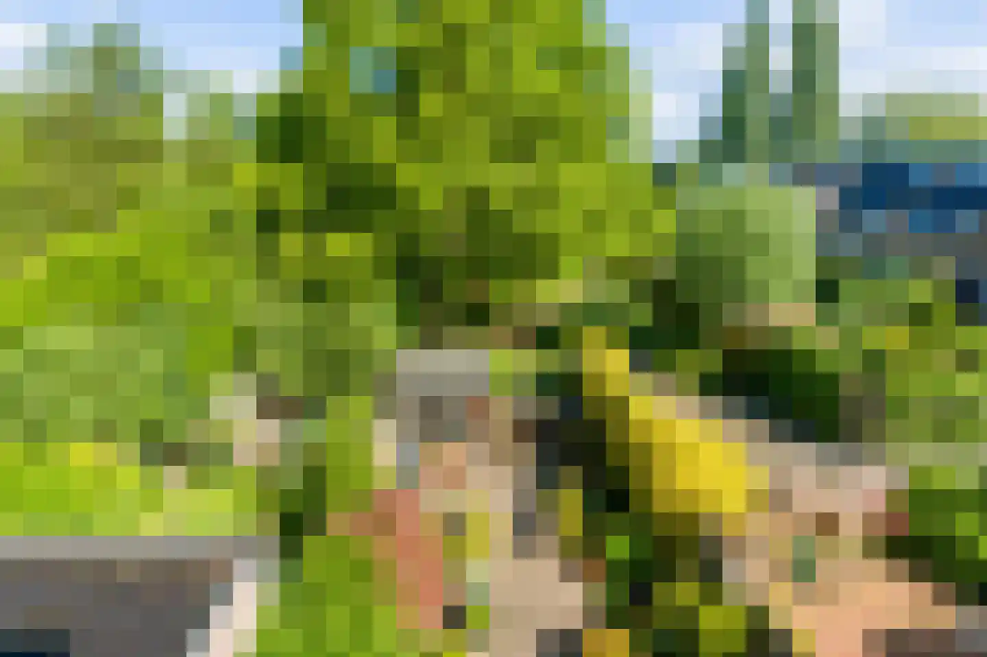 Boekweitdonk 12 Diemen thumbnail 38
