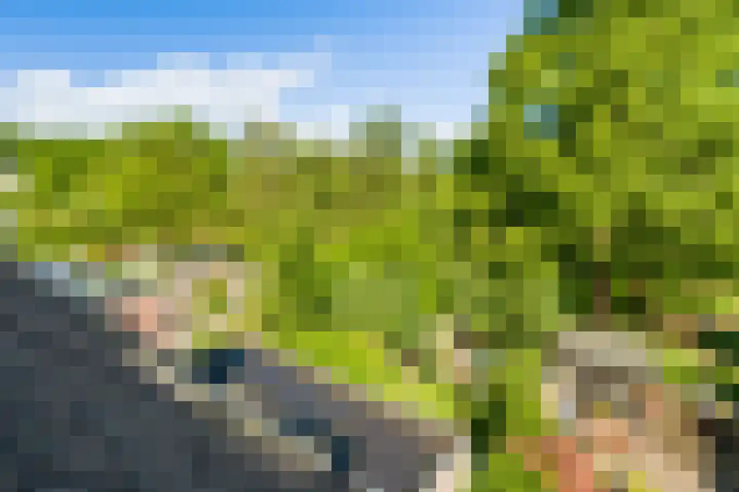 Boekweitdonk 12 Diemen thumbnail 40