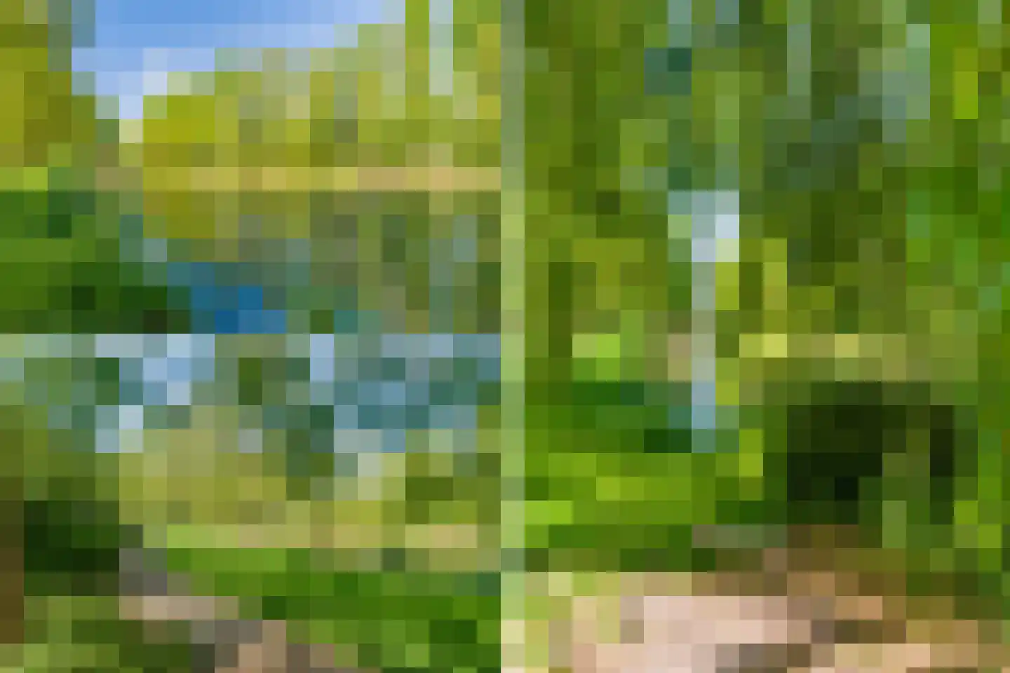 Boekweitdonk 12 Diemen thumbnail 46