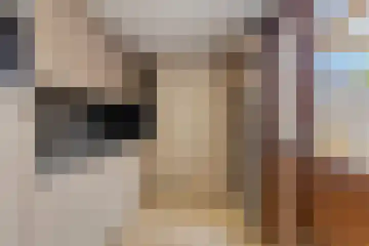Boekweitdreef 11 Doetinchem thumbnail 10