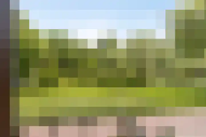 Boekweitdreef 11 Doetinchem thumbnail 17