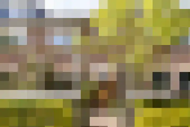 Boekweitdreef 11 Doetinchem thumbnail 31