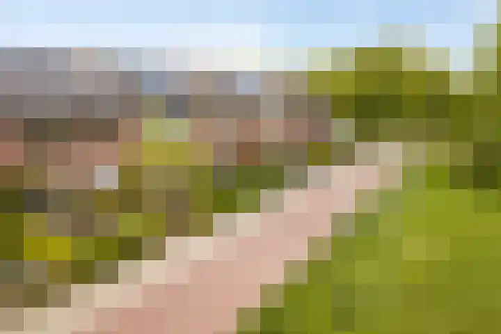 Boekweitdreef 11 Doetinchem thumbnail 32
