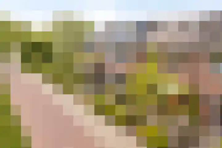 Boekweitdreef 11 Doetinchem thumbnail 33