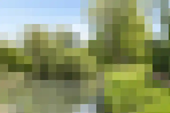 Boekweitdreef 11 Doetinchem thumbnail 37