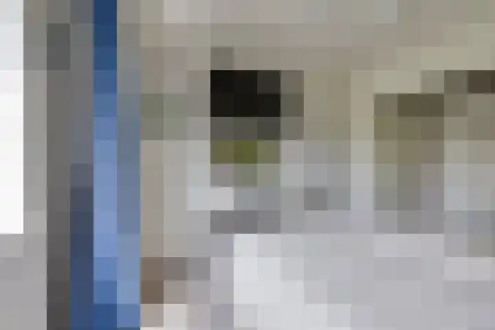 Boekweitdreef 114 Doetinchem thumbnail 21