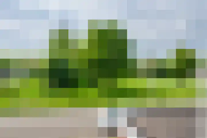 Boekweitdreef 114 Doetinchem thumbnail 22