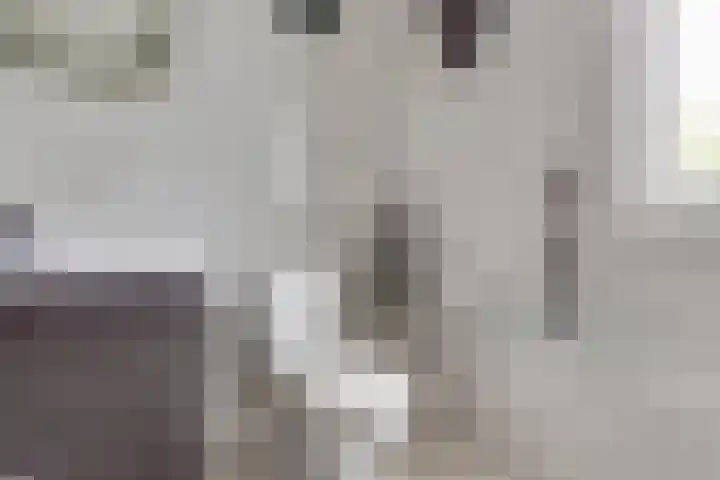 Boekweitdreef 114 Doetinchem thumbnail 28