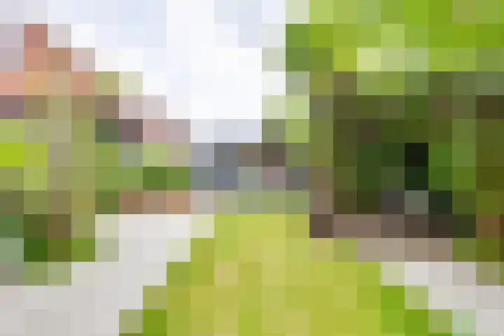 Boekweitdreef 114 Doetinchem thumbnail 33