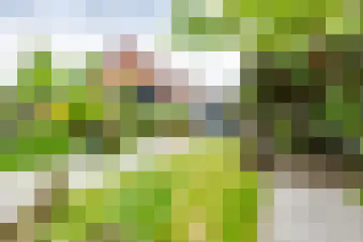 Boekweitdreef 114 Doetinchem thumbnail 34