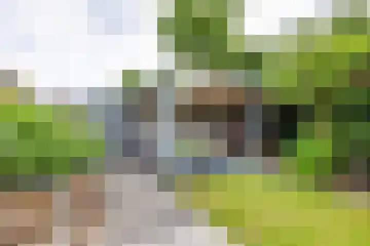 Boekweitdreef 114 Doetinchem thumbnail 36