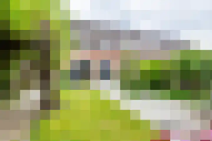 Boekweitdreef 114 Doetinchem thumbnail 39