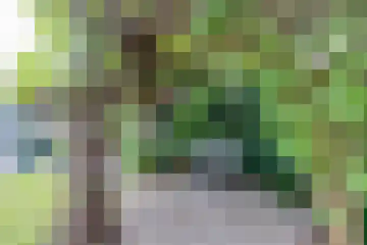 Boekweitdreef 114 Doetinchem thumbnail 41