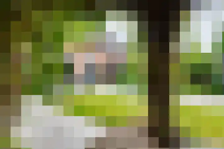 Boekweitdreef 114 Doetinchem thumbnail 42