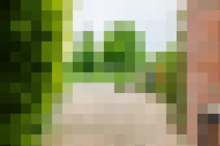 Boekweitdreef 114 Doetinchem thumbnail 44