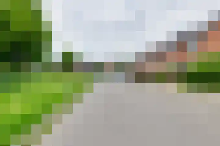 Boekweitdreef 114 Doetinchem thumbnail 45